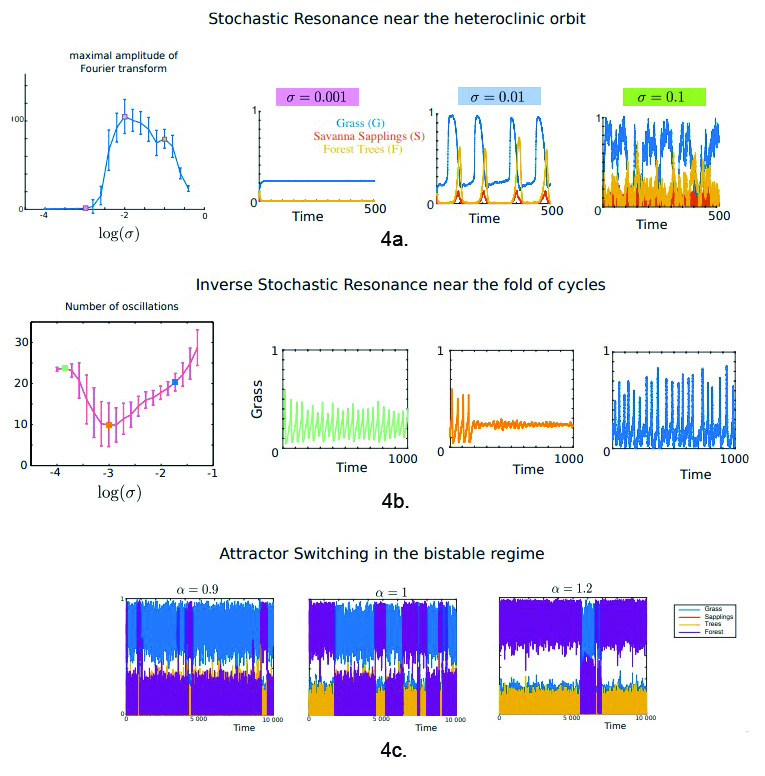 &lt;strong&gt;Figure 4.&lt;/strong&gt; Complex responses to noise in various parameter regimes. &lt;strong&gt;4a.&lt;/strong&gt; Near the heteroclinic loop, an optimal level of noise triggers highly periodic responses, where the noiseless system stabilizes in a forest (stochastic resonance). &lt;strong&gt;4b.&lt;/strong&gt; An optimal level of noise cancels the oscillations in the noiseless system (inverse stochastic resonance) near the fold of limit cycles. &lt;strong&gt;4c.&lt;/strong&gt; Noise induces irregular switches between the different attractors in the bistable regime. Figure courtesy of Jonathan Touboul, adapted from [1].