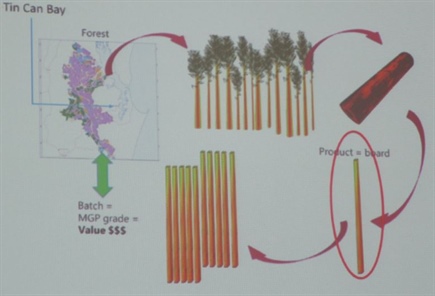 Psaltis's overall goal is to improve profitability across the value chain through precision forestry in Australia.