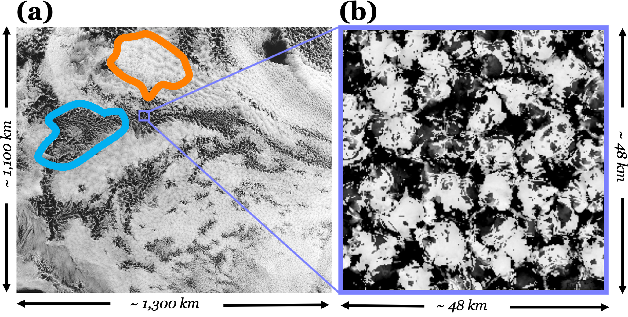<strong>Figure 1.</strong> Different stratocumulus cloud systems where white regions represent thick, “puffy” clouds and dark regions represent the absence of clouds. <strong>1a.</strong> Satellite image of stratocumulus clouds. <strong>1b.</strong> Contour plot of cloud depth in a large eddy simulation. Figure 1a adapted from [2], and Figure 1b adapted from [4].