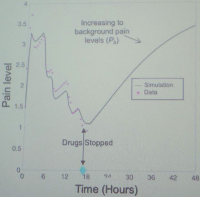 <strong>Figure 2.</strong> When adults with chronic pain use drugs to manage their pain, drug dynamics spike and bounce around while gradually decaying down. Once drug uses ceases, pain levels eventually return to the nonzero steady state. Figure courtesy of Reginald McGee.