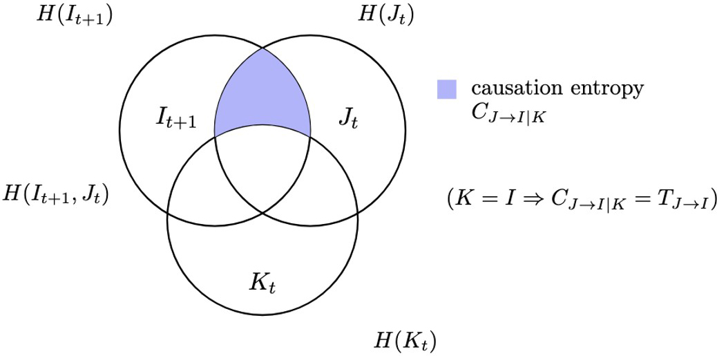 <strong>Figure 1.</strong> Conceptual guide to optimal causation entropy (oCSE). Information theoretical measures estimate every possible link in a backward and forward pass, first maximizing possible links and then pruning incorrect ones. When additional conditioning sets are absent, this method reduces to transfer entropy, making the oCSE algorithm more robust to larger systems. Image courtesy of [3]. 

