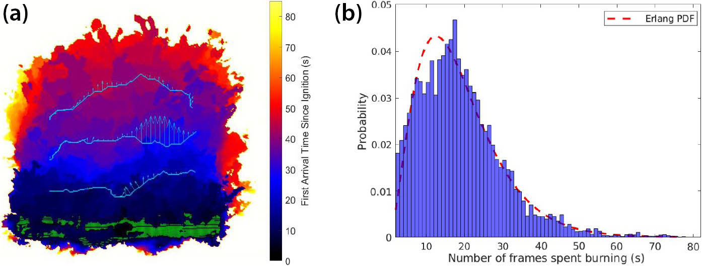 <strong>Figure 2.</strong> Infrared data enables the precise determination of spatially-varying fire arrival times and provides valuable statistical insights into fuel consumption and its associated dependencies. <strong>2a.</strong> The per-pixel time of ignition—or first arrival time—of the head fire in Animation 1. <strong>2b.</strong> Distribution of the amount of time that each pixel actively burned during the pine straw experiment, fit with an Erlang distribution. Figure courtesy of Daryn Sagel.