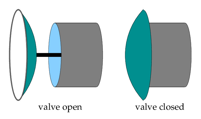 <strong>Figure 2.</strong> The bistable valve in open (left) and closed (right) configurations, showing how snapping between positions closes a smaller fluid channel within a larger flow moving from left to right.