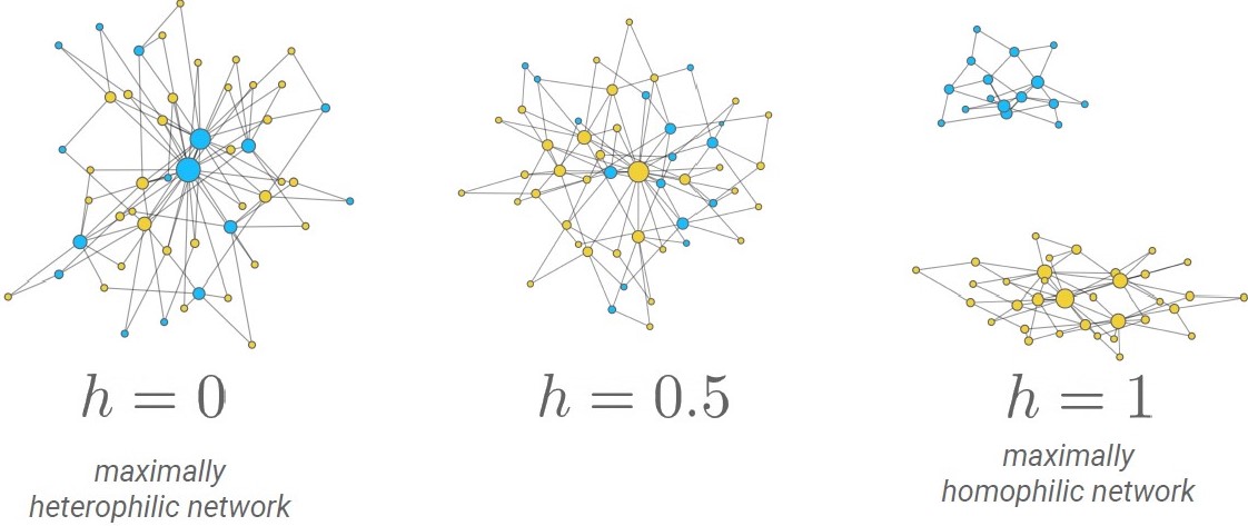<strong>Figure 2.</strong> Preferential attachment networks with homophily (\(h\)). Yellow denotes the majority nodes and blue denotes the minority nodes. Figure courtesy of Ekaterina Landgren.