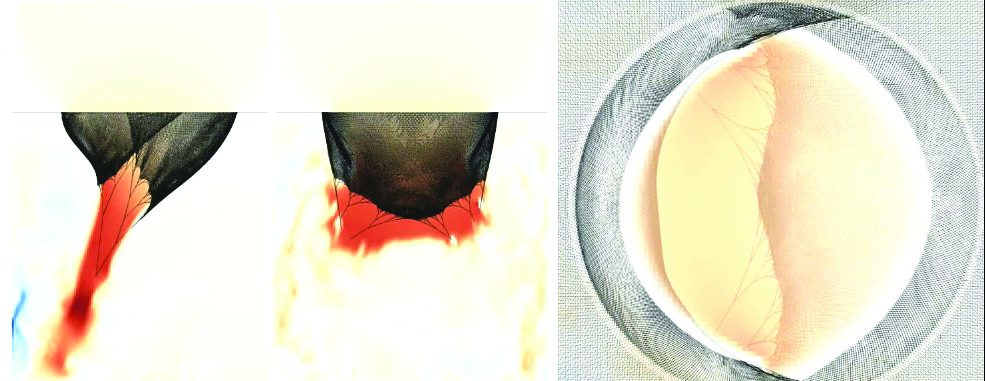 <strong>Figure 2.</strong> Mitral valve model. Three perpendicular views of a mitral valve model simulated in a test chamber by the IB method. Colors indicate the vertical component of fluid velocity. Credit: Alexander Kaiser.
