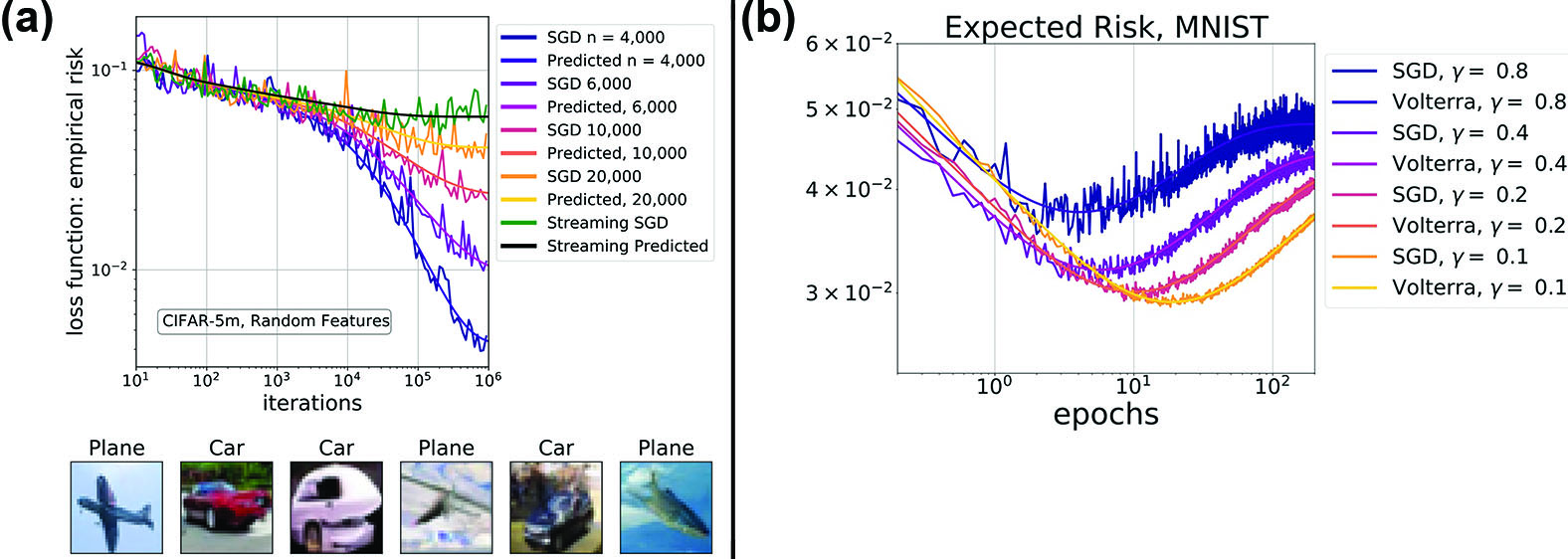 <strong>Figure 1.</strong> Courtney Paquette and her colleagues developed theory that predicts the resulting behavior of training an image classifier via stochastic gradient descent (SGD). The observed “risk”—a normed residual on unseen data—is tracked closely by an a priori calculation that pertains to the spectrum of Hessian matrix \(H=X^T X\). <strong>1a.</strong> Theoretical predictions match the loss on varying training data sizes \(n\) on the CIFAR-5m dataset. <strong>1b.</strong> Similar agreement occurs for different learning rates \(\gamma\) when one conducts training on the Modified National Institute of Standards and Technology database (MNIST) dataset. Figure courtesy of Courtney Paquette; Figure 1b adapted from [5].