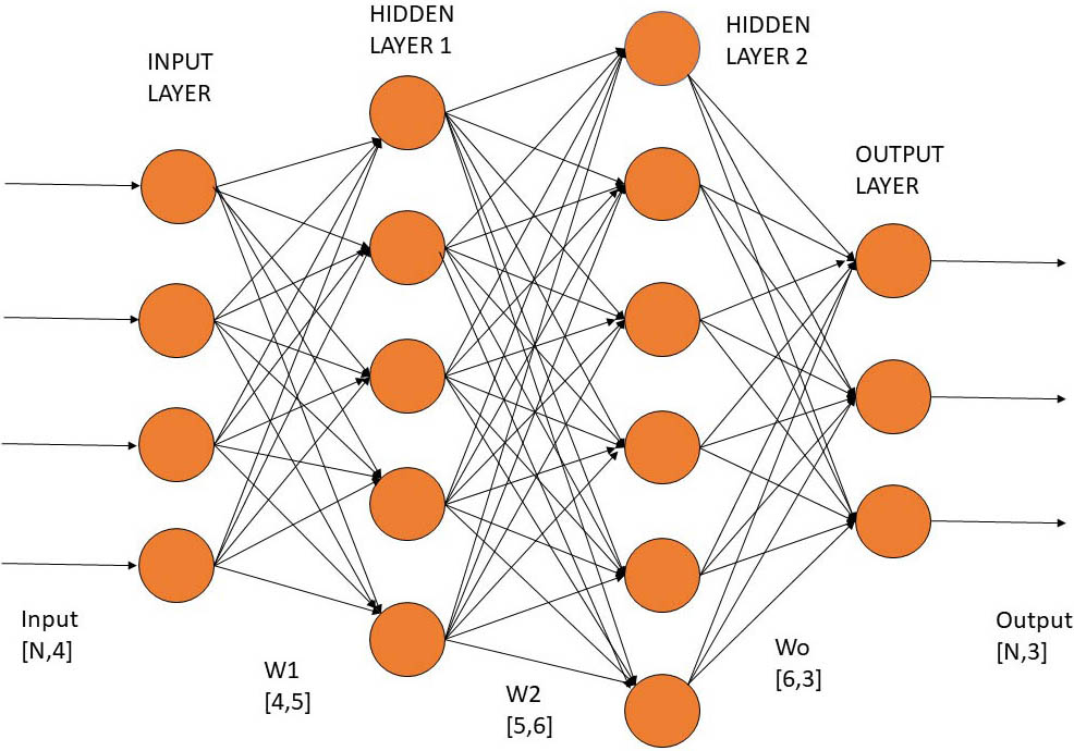 <strong>Figure 3.</strong> A sketch of the neural network that our machine learning framework uses to reproduce the finite element simulations. Our network has two hidden layers and 100 nodes per layer. Figure courtesy of Fred Vermolen.