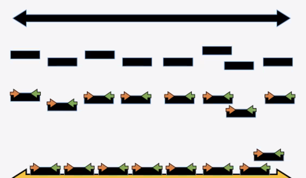<strong>Figure 1.</strong> Steps in finding the variation in a genome (black arrow at top of image). Researchers first split the genome into many pieces, on which they perform genetic sequencing (represented in the middle of the image). They then match the sequences to an established ground truth (yellow arrow at the bottom of the image) to search for any variations.