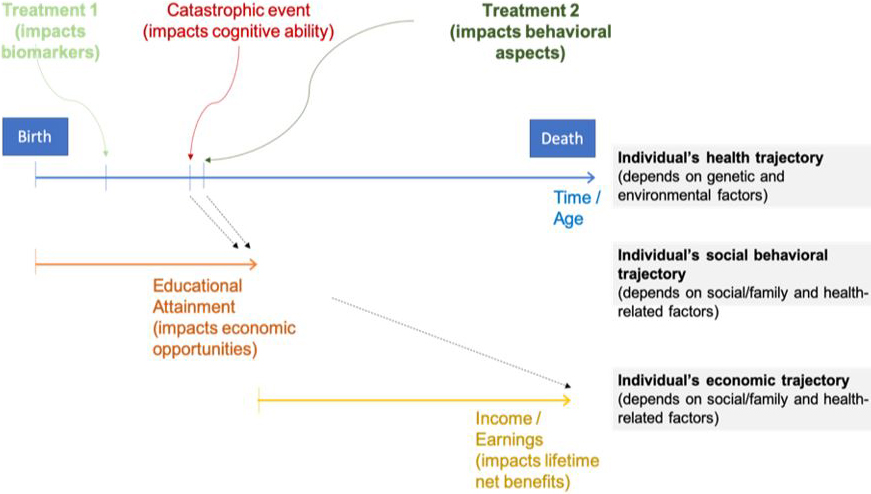 <strong>Figure 5.</strong> The impact of treatment for sickle cell disease on an individual’s biomarkers, education level, and lifetime income/earnings. Figure courtesy of the authors.