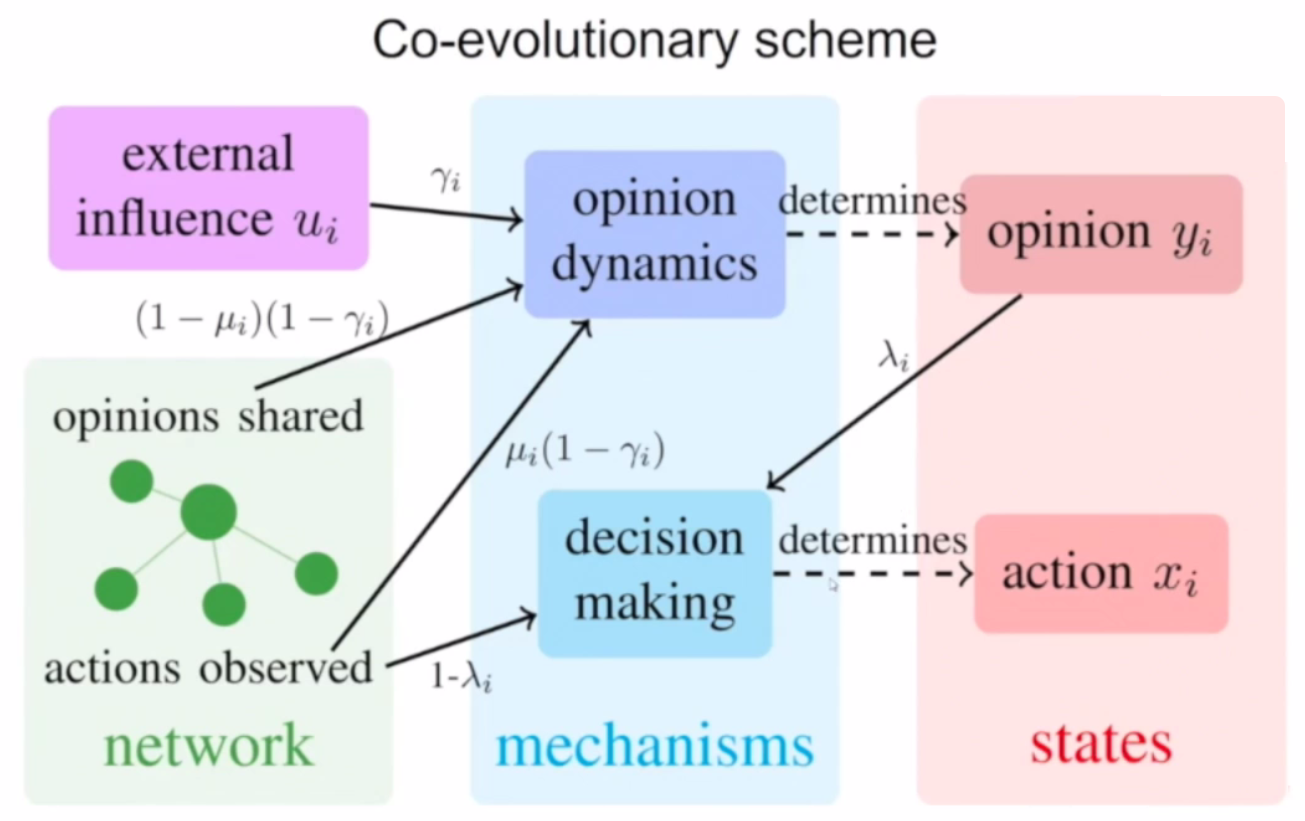 <strong>Figure 2.</strong> The flow of information in the co-evolutionary scheme, demonstrating the effects of both opinion and decision-making dynamics on the overall system.