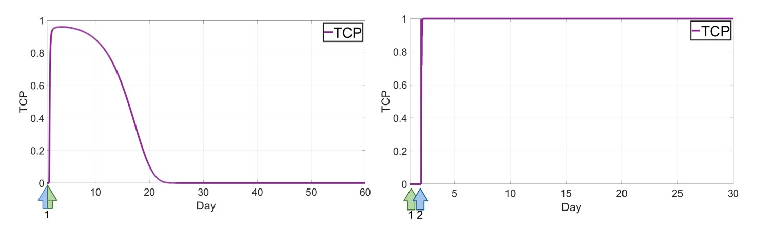 <strong>Figure 3.</strong> Tumor control probability (TCP) curves for combination therapies. The left panel shows TCP results for simultaneous administration of chimeric antigen receptor (CAR) T-cells and oncolytic virus on Day 1. The right panel shows the optimized treatment schedule with CAR T-cell therapy on Day 1 followed by viral administration on Day 2. Dose values are reported in dimensionless units following nondimensionalization of the model variables. Figure courtesy of the author. 