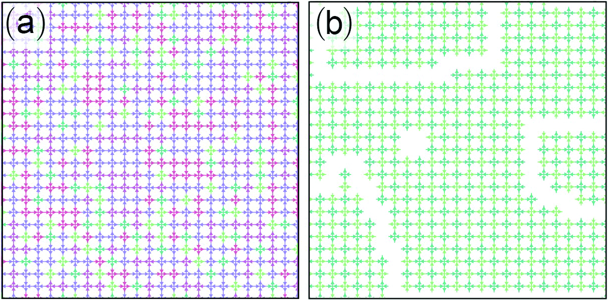 <strong>Figure 2.</strong> Placing posts in the middle of each junction changes the flow of the active hydraulic particles from random <strong>(2a)</strong> to something that is analogous to an antiferroelectric system, with clearly defined domains <strong>(2b)</strong>. Figure adapted from [3].