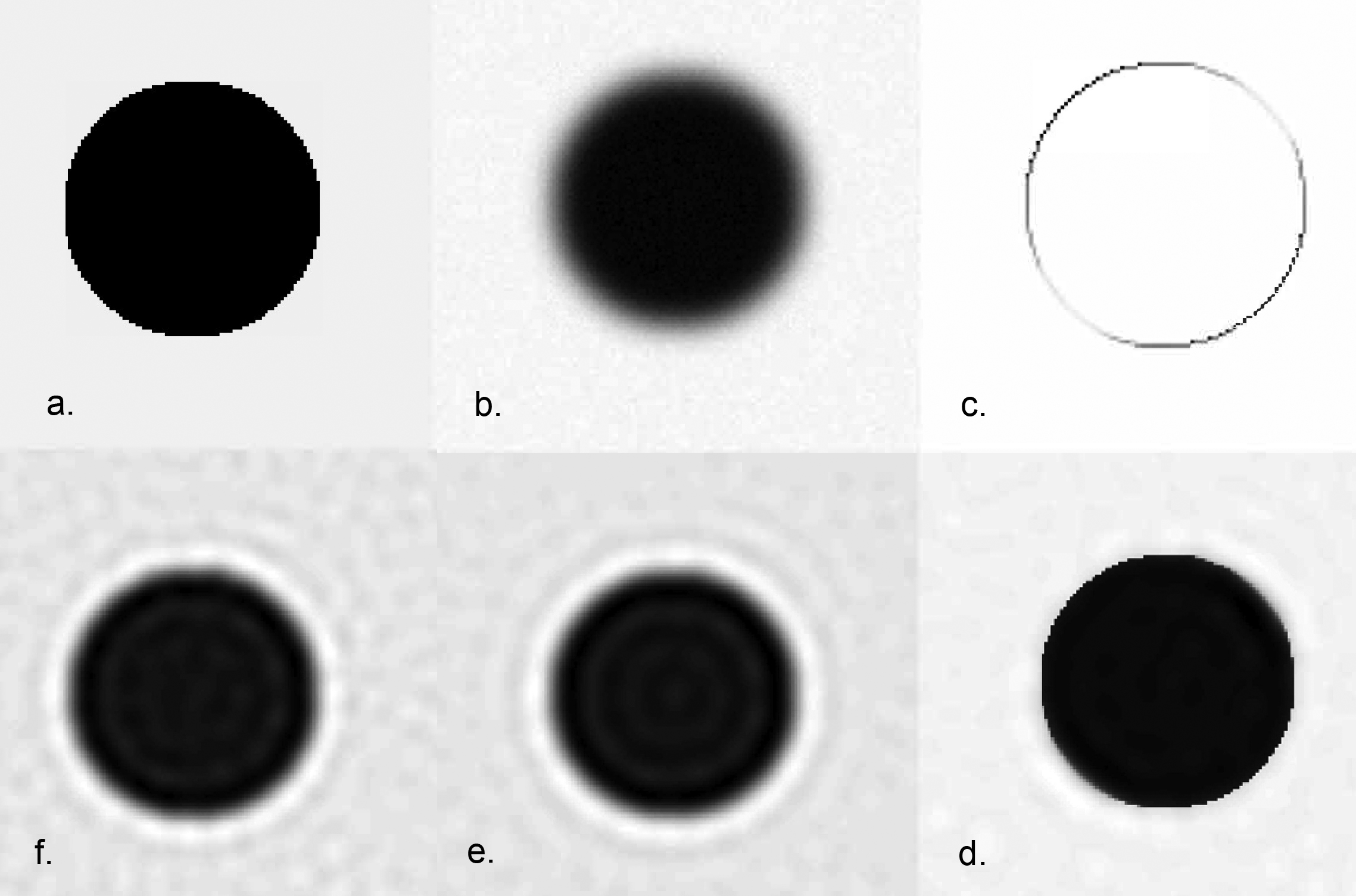 <strong>Figure 1.</strong> True and recovered figures. <strong>1a.</strong> The original image. <strong>1b.</strong> A blurred and noisy version of the original. <strong>1c.</strong> MAP estimate of the hyperparameter. <strong>1d.</strong> MAP estimate with conditionally Gaussian prior with inverse gamma hyperprior. <strong>1e.</strong> MAP estimate with second-order smoothness prior. <strong>1f.</strong> MAP estimate with white noise prior. Image credit: Daniela Calvetti.