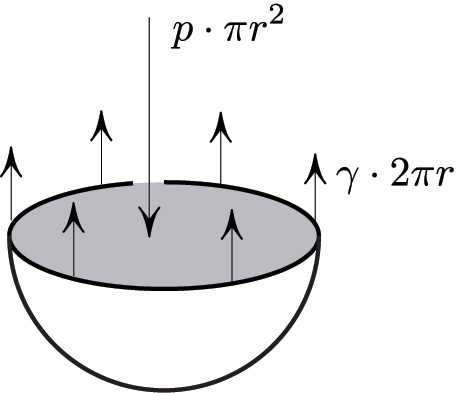 <strong>Figure 2.</strong> Pressure inside a water drop.