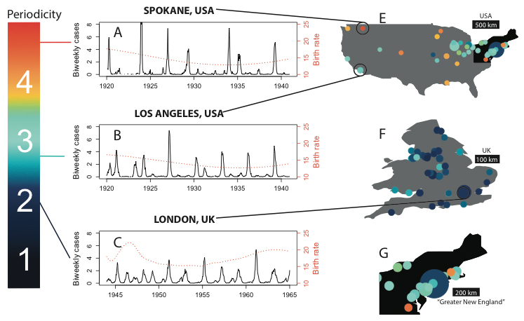 &lt;strong&gt;Figure 3.&lt;/strong&gt; Epidemic periodicity was longer and more irregular in U.S. cities compared to London. Image Credit: [1].