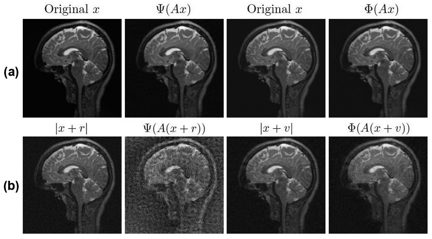 <strong>Figure 2.</strong> The AUTOMAP network \(\Psi\colon \mathbb{C}^m \to \mathbb{C}^N\) [12] for MRI is unstable to worst-case perturbations, whereas the sparse regularization method \(\Phi\) is not. <strong>2a.</strong> Original image \(x\) and unperturbed reconstructions. <strong>2b.</strong> Worst-case perturbations \(r\) and \(v\) for the respective methods and their effects. Poor conditioning is not responsible for this instability since the condition number \(\mathrm{cond}(AA^*) = 1\). Figure courtesy of [2].
