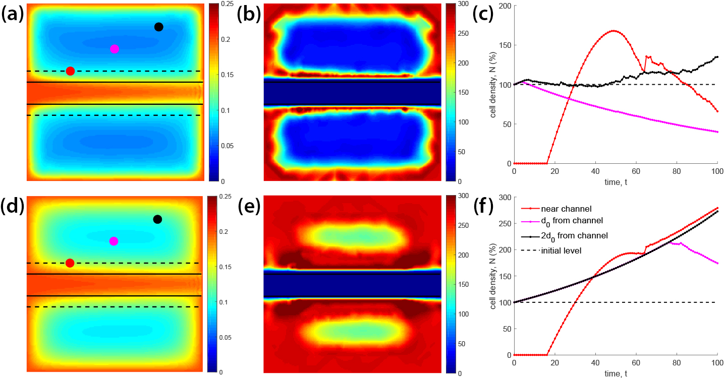<strong>Figure 3.</strong> Computational results for a two-dimensional toy problem on the single-channel model with high and low consumption rates. <strong>3a.</strong> Concentration \(C(t_f)\) for high consumption. <strong>3b.</strong> Cell density \(N(t_f)\) for high consumption. <strong>3c.</strong> High consumption rate of \(\beta = 0.25\). <strong>3d.</strong> Concentration \(C(t_f)\) for low consumption. <strong>3e.</strong> Cell density \(N(t_f)\) for low consumption. <strong>3f.</strong> Low consumption rate of \(\beta = 0.05\). Figure courtesy of the research lab of Vladislav Bukshtynov (unpublished data).