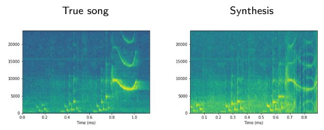 <strong>Figure 1.</strong> A comparison of the true song versus the synthesized product. The three introductory notes are nearly identical, though slight variation occurs in the final whistle.