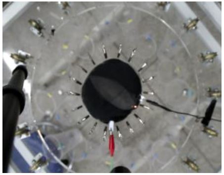We are preparing an animation of how this membrane stretches when a voltage is applied.