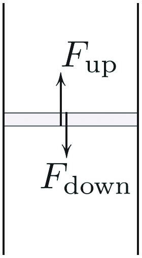 <strong>Figure 2.</strong> Derivation of an ordinary differential equation \((5)\) for \(p(x)\). The rate of change of \(p\) is in direct proportion to both gravity (and hence to \(x\)) and density (and hence to \(p\)), which explains \((5)\).
