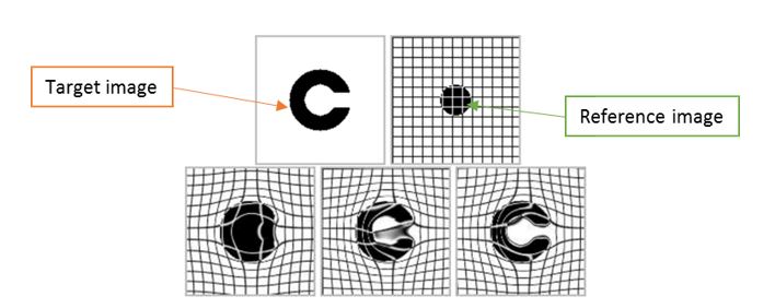 <strong>Figure 4.</strong> Deformation vector field. Image courtesy of [2].
