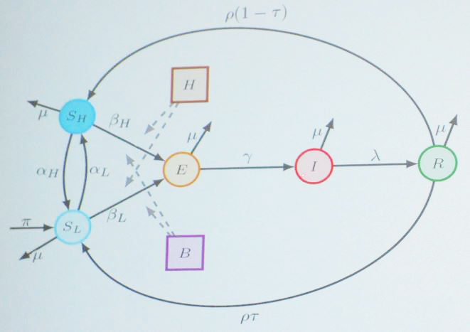 <strong>Figure 3.</strong> A modified susceptible-infected-recovered (SIR) model allowed Lihong Zhao to assess the transmission of Legionnaires' disease. Figure courtesy of Lihong Zhao.