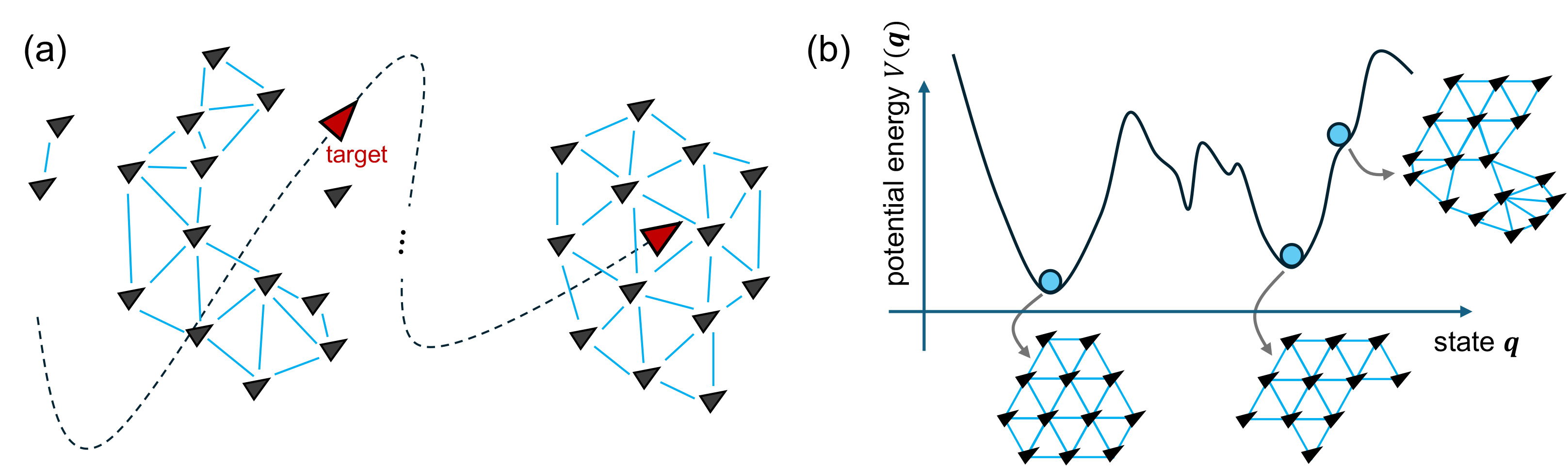<strong>Figure 3.</strong> Collective dynamics and computation in the Olfati-Saber model. <strong>3a.</strong> Flock converging toward its control objective: a lattice-like formation centered at the target position. <strong>3b.</strong> Diagram of the energy landscape \(V\) as a function of the agents’ position state \(\pmb{q},\) quantifying the state deviation from a desired lattice configuration. The state evolution toward low-energy configurations can be interpreted as a form of collective computation, in which agents seek to minimize a global objective through local interactions, as in many neurocomputational models. Figure courtesy of Arthur N. Montanari.