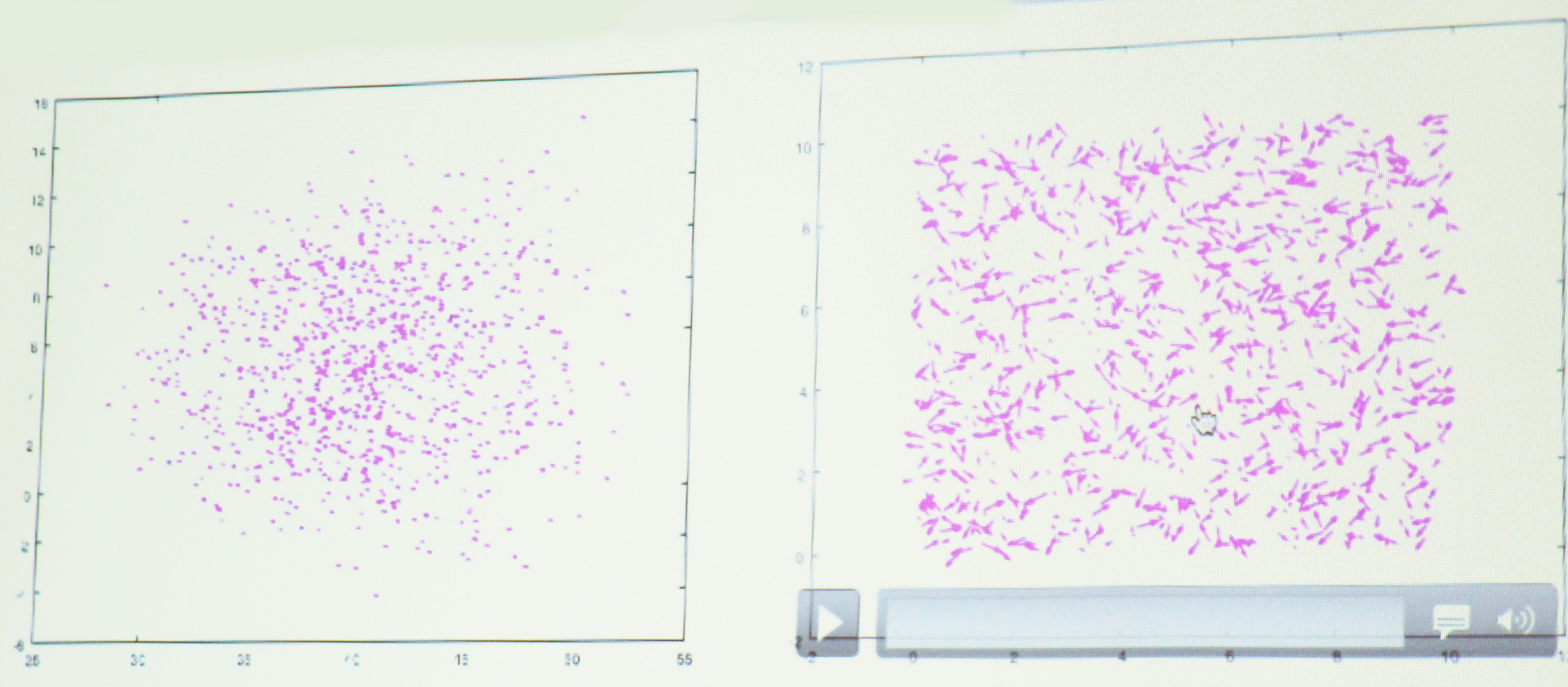 Simulations of particle movement with the Cucker-Smale model — an agent-based, kinetic, deterministic model that depicts collective crowd motion.