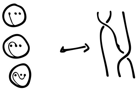 <strong>Figure 7. </strong>