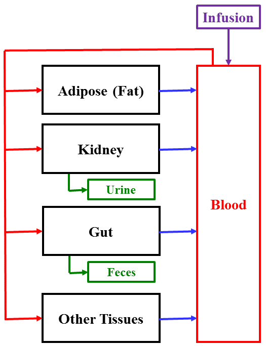 <strong>Figure 1</strong>. Schematic of the model.