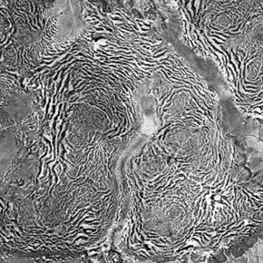 Vertical aerial view of a tiger bush plateau in Niger. Vegetation is dominated by Combretum micranthum and Guiera senegalensis. Image size : 5 x 5 km on the ground. Satellite image from the Declassified corona KH-4A national intelligence reconnaissance system, 1965-12-31. Courtesy of the U.S. Geological Survey. Photo source: Wikimedia