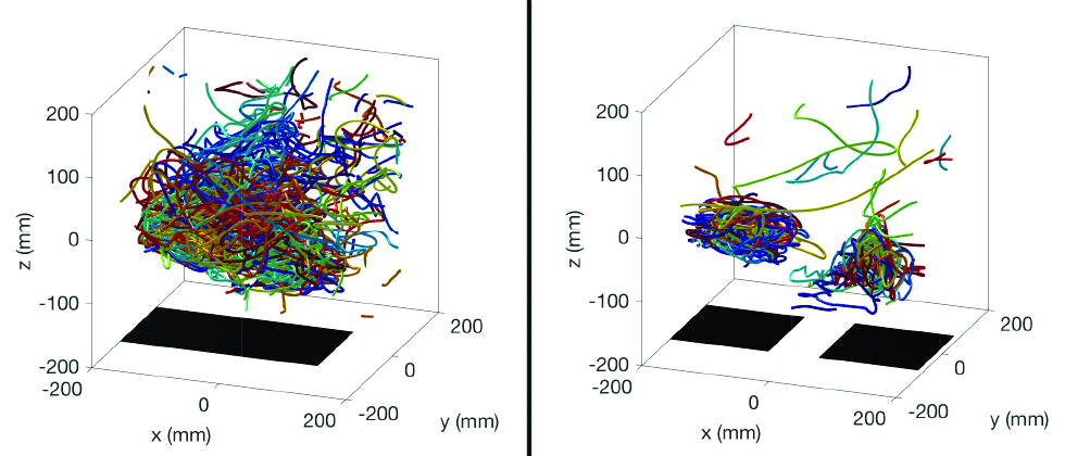 <strong>Figure 2.</strong> Observed midge trajectories (with each midge shown in a different color) for one minute of recording time over <strong>(a)</strong> one single ground-based target (shown in black) and <strong>(b)</strong> two separated ground-based targets. A single swarm can be pulled apart into two as the targets are increasingly separated. Adapted from [7].