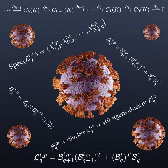 <strong>Figure 1.</strong> Topology deciphers the virus code. Image courtesy of Rui Wang.