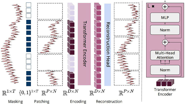 Foundation Models for Physiological Data | SIAM
