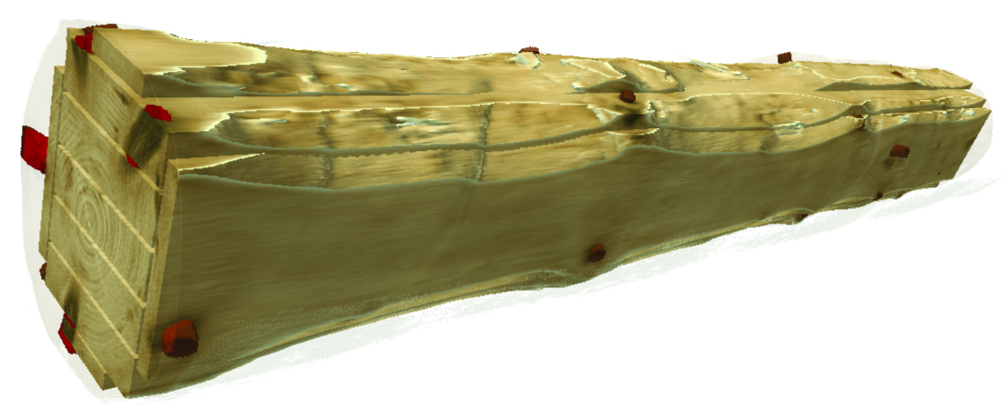 <strong>Figure 4.</strong> Example of an optimized virtual cut obtained from CT reconstruction of a log. © Microtec.