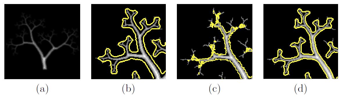 &lt;strong&gt;Figure 2.&lt;/strong&gt; Segmentations of a fractal image corrupted with Gamma noise and blur. &lt;strong&gt;2a.&lt;/strong&gt; Degraded image. &lt;strong&gt;2b.&lt;/strong&gt; Max-flow method [16]. &lt;strong&gt;2c.&lt;/strong&gt; Frame-based method [10]. &lt;strong&gt;2d.&lt;/strong&gt; Smoothing and thresholding (SaT) with user-provided thresholds [7]. For clarity, only the upper-left corner of the segmentations are shown. We see that the SaT method produces the best result, with the yellow segmentation line closest to the real boundary. Image adapted from [7].