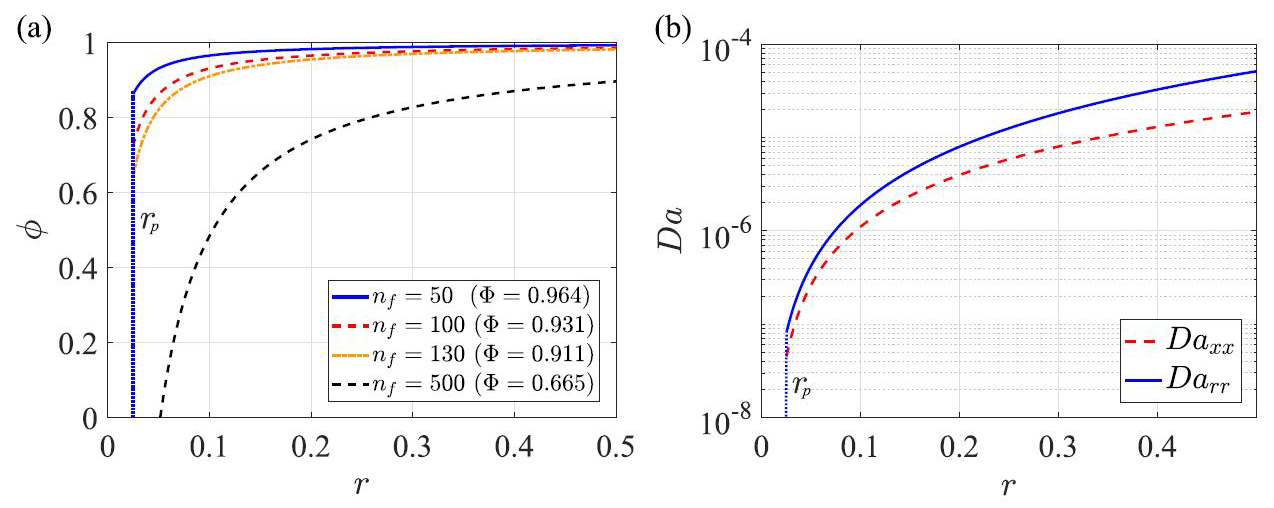 <strong>Figure 2.</strong> Plots depicting porosity distribution for different numbers of pappus filaments \((n_f)\) (<strong>2a</strong>) and permeability variation along the radius when \(n_f=100)\) (<strong>2b</strong>).\(\boldsymbol{Da}\)  is a nondimensional permeability tensor. Figure courtesy of [2].