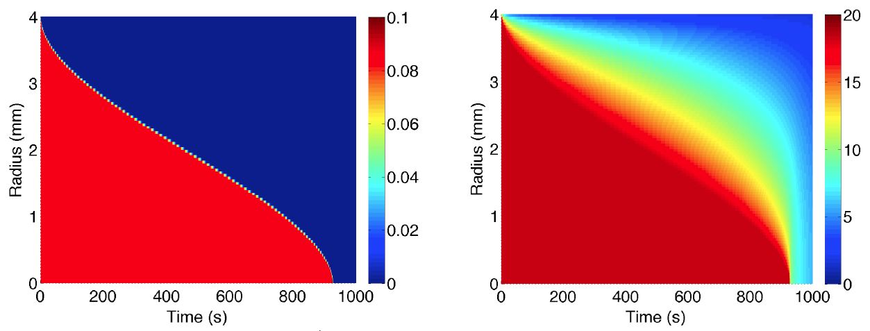 Solution of the moisture content (<strong>left:</strong> % water/% voids) and vapour pressure (<strong>right:</strong> atm) using the isothermal multiphase model and a spherically symmetric coffee bean of 4mm radius. The “drying front,” which propagates from the surface of the bean towards the centre, divides the coffee bean into an interior region with high vapour pressure and a dry outer region with negligible water content.