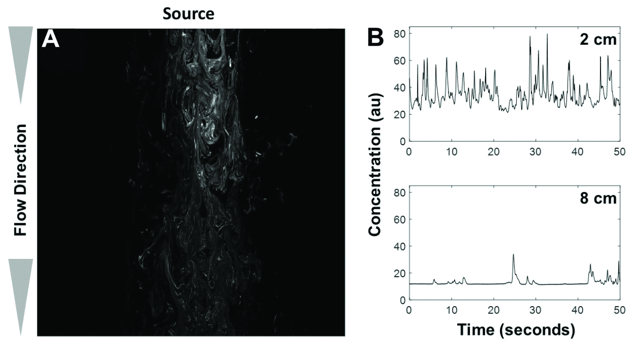 <strong>Figure 1a.</strong> Snapshot of a chemical plume in water. Image credit: John Crimaldi. <strong>1b.</strong> Photoionization detector (PID) time series at 2 centimeters and 8 centimeters from an odor source. Image credit: Nathan Urban.