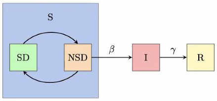 Oscillatory Dynamics Impact Social Distancing Patterns | SIAM