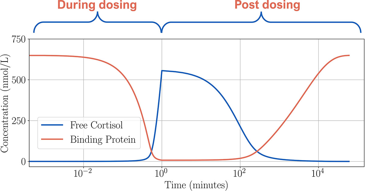 <strong>Figure 3.</strong> The full (dimensional) system solution for a high-dose scenario. Figure courtesy of Rosie Evans.
