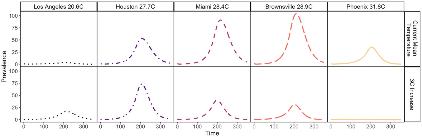 &lt;strong&gt;Figure 2.&lt;/strong&gt; The possible epidemic trajectory of dengue in five U.S. cities—Los Angeles, Calif.; Houston, Texas; Miami, Fla.; Brownsville, Texas; and Phoenix, Ariz.—at the current mean temperature from June to October for each city (top) and with a 3°C temperature increase from the current mean temperature (bottom). At current mean temperatures, the fastest disease progression and greatest number of infected humans are in Houston, Miami, and Brownsville. With a 3°C mean temperature increase, disease spread decreases in Miami and Brownsville and is eliminated in Phoenix. In all five of the cities that were modeled, an outbreak occurs at the current mean temperature. Figure courtesy of [2].