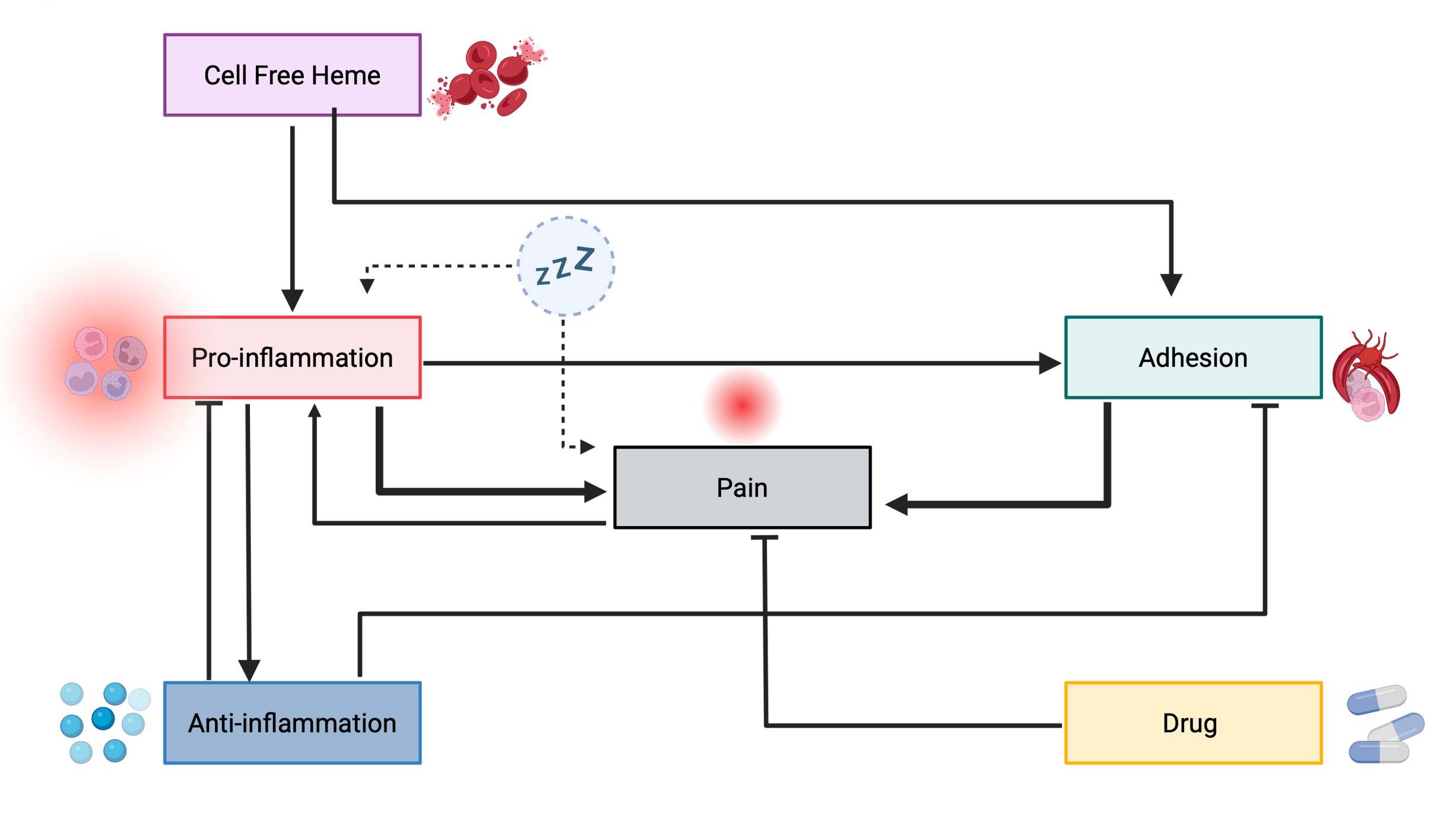 <strong>Figure 1.</strong> Schematic representation of Marsh’s model that depicts interactions between inflammation, cell adhesion, and pain in sickle cell disease, with sleep acting as an external input that affects both pain and pro-inflammatory inputs. Figure courtesy of Milan Marsh.