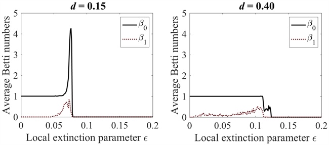 <strong>Figure 3.</strong> Changing Betti number averages with increasing local extinction threshold \(\epsilon\) for \(d = 0.15\) and \(d = 0.40\). The \(d = 0.15\) graph provides a “warning” via a sharp spike in \(\beta_0\) before extinction, while the \(d = 0.40\) graph offers no such warning. Figure courtesy of Laura Storch and Sarah Day.