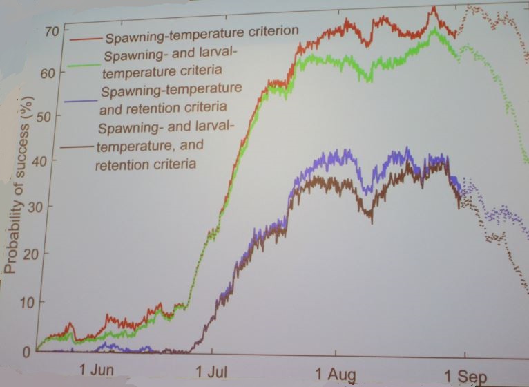 <strong>Figure 3.</strong> Graphical representation of successful spawning times for the Atlantic bluefin tuna.