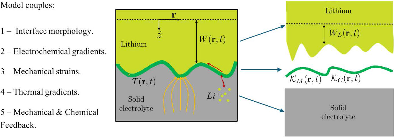 <strong>Figure 3.</strong> Illustration of the different components and quantities that enter the model to capture structure, mechanics, transport, and feedback in a solid-state battery. Here, \(W_L(\mathbf{r},t)\) is the normal displacement of the lithium surface in the absence of external forces.  When the solid electrolyte—which prefers to stay flat—comes into contact with the lithium anode, it triggers forces that change the lithium surface to \(W(\mathbf{r},t)\). The buildup of current leads to instabilities that destroy the flat state; such regions also have high temperature \(T(\mathbf{r},t)\). The natural curvature \(\mathcal{K}_M\) and ionic conductance \(\mathcal{K}_C\) of the morphogenetic interface layer (shown in green) capture feedback. Figure courtesy of the author.