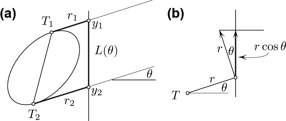 <strong>Figure 4.</strong> \(r_2>r_1\) (in <strong>4a</strong>) implies that \(y_2 ^\prime > y_1 ^\prime\), as follows from \(dy/d\theta= r \cos \theta\) (in <strong>4b</strong>).
