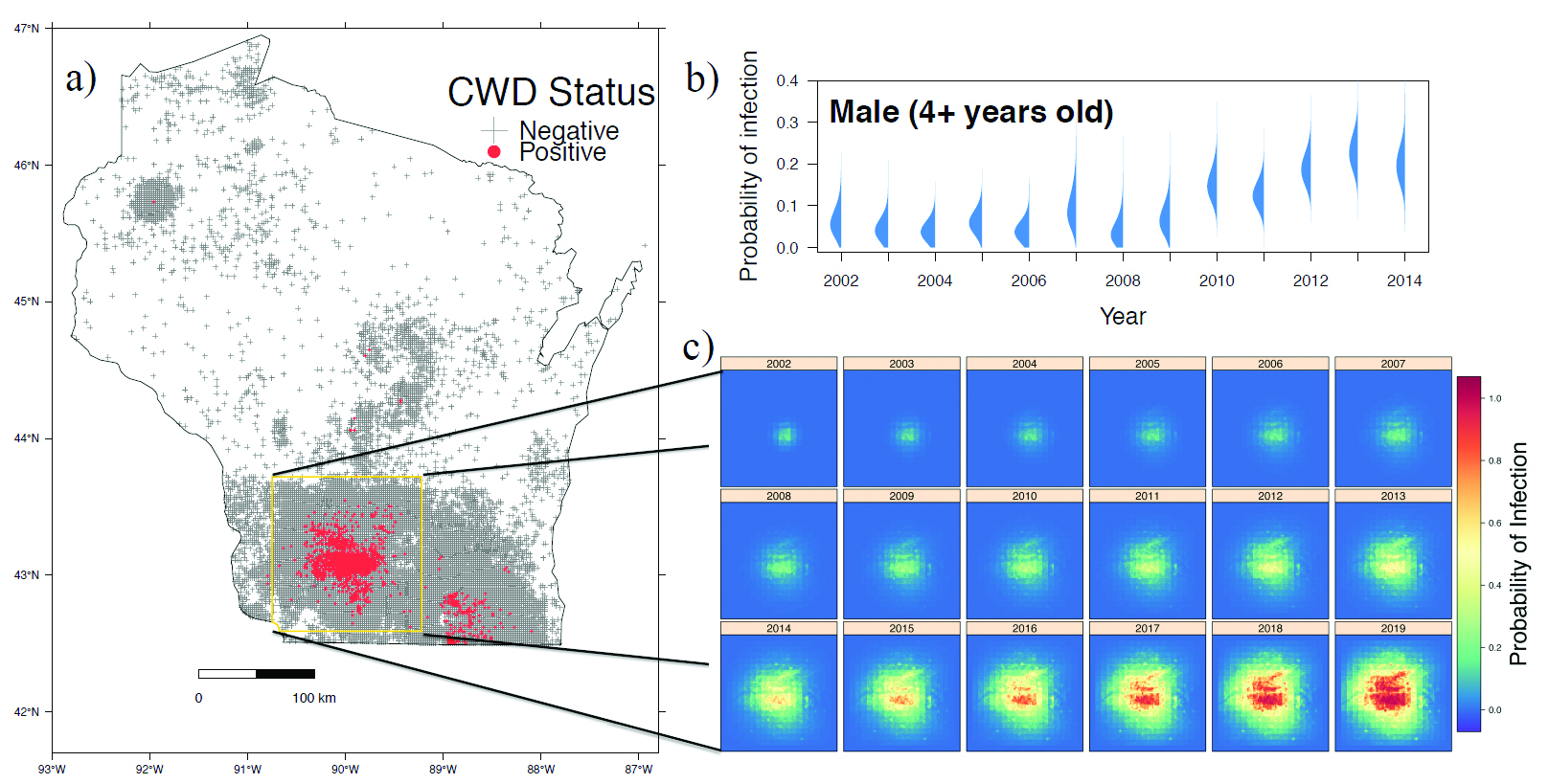 <strong>Figure 2. 2a.</strong> Location of samples collected by the Wisconsin Department of Natural Resources for chronic wasting disease surveillance in white-tailed deer, and the study area (yellow square) used in our analysis. <strong>2b.</strong> Estimated chronic wasting disease prevalence in male white-tailed at least four-years old in southwestern Wisconsin using our dynamic statistical model. <strong>2c.</strong> Map depicting the growth and spread of chronic wasting disease in our study area, estimated and forecasted by our dynamic statistical model.