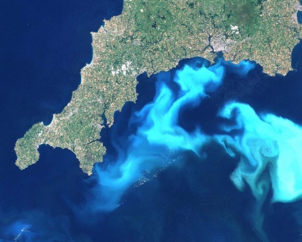 Dinoflagellates can cause harmful algal blooms. The picture shows an algal bloom off the southern coast of Devon and Cornwall in England, in 1999. Image credit: Wikipedia