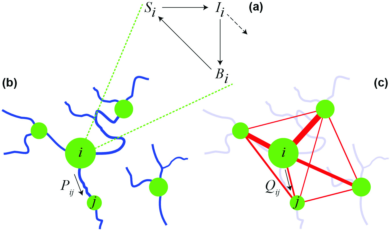 <strong>Figure 1.</strong> A spatially explicit network model for cholera epidemics. (a) Local epidemiologic dynamics in the ith community. (b) Pathogen transport along the river network. (c) Human mobility network. Communities of different sizes constitute the nodes of the network model (green circles). Connections between nodes (specified by Markov matrices P and Q) can represent hydrologic pathways and/or human displacement. Modified from [5].